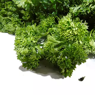 Perejil Crespo 1000gr