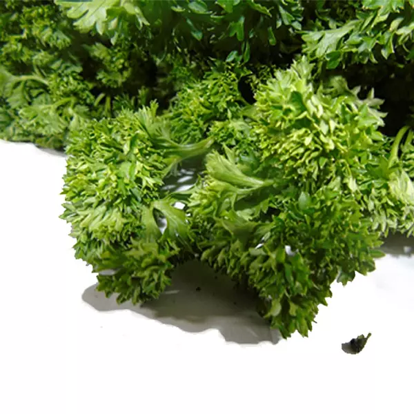 Perejil Crespo 1000gr