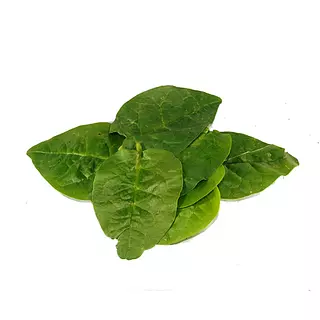 Espinaca Común 1000gr