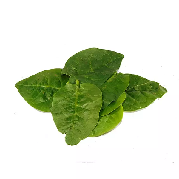 Espinaca Común 1000gr