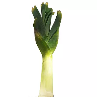 Cebolla Puerro 1000gr